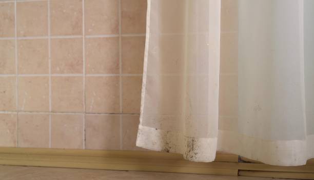Best Mold Documentation for Insurance Claims  in Mount Gilead, NC